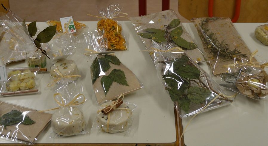 Usposabljanje pridelava in predelava zelišč