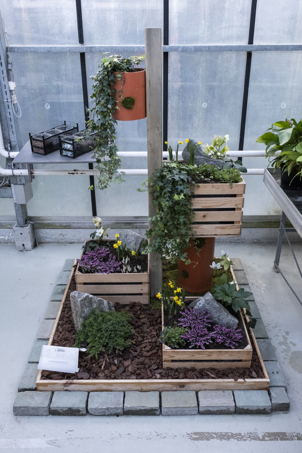 3. mesto Martina Jančič, Miha Samec in Jan Žafran