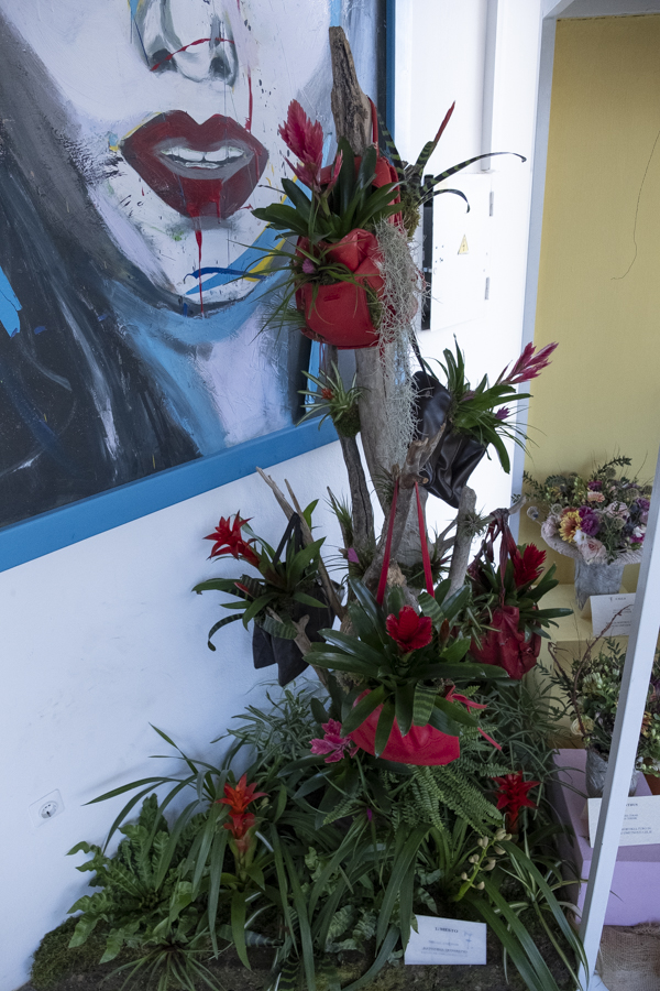 1. mesto: Miha Stropnik