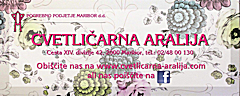 Cvetličarna ARALIJA