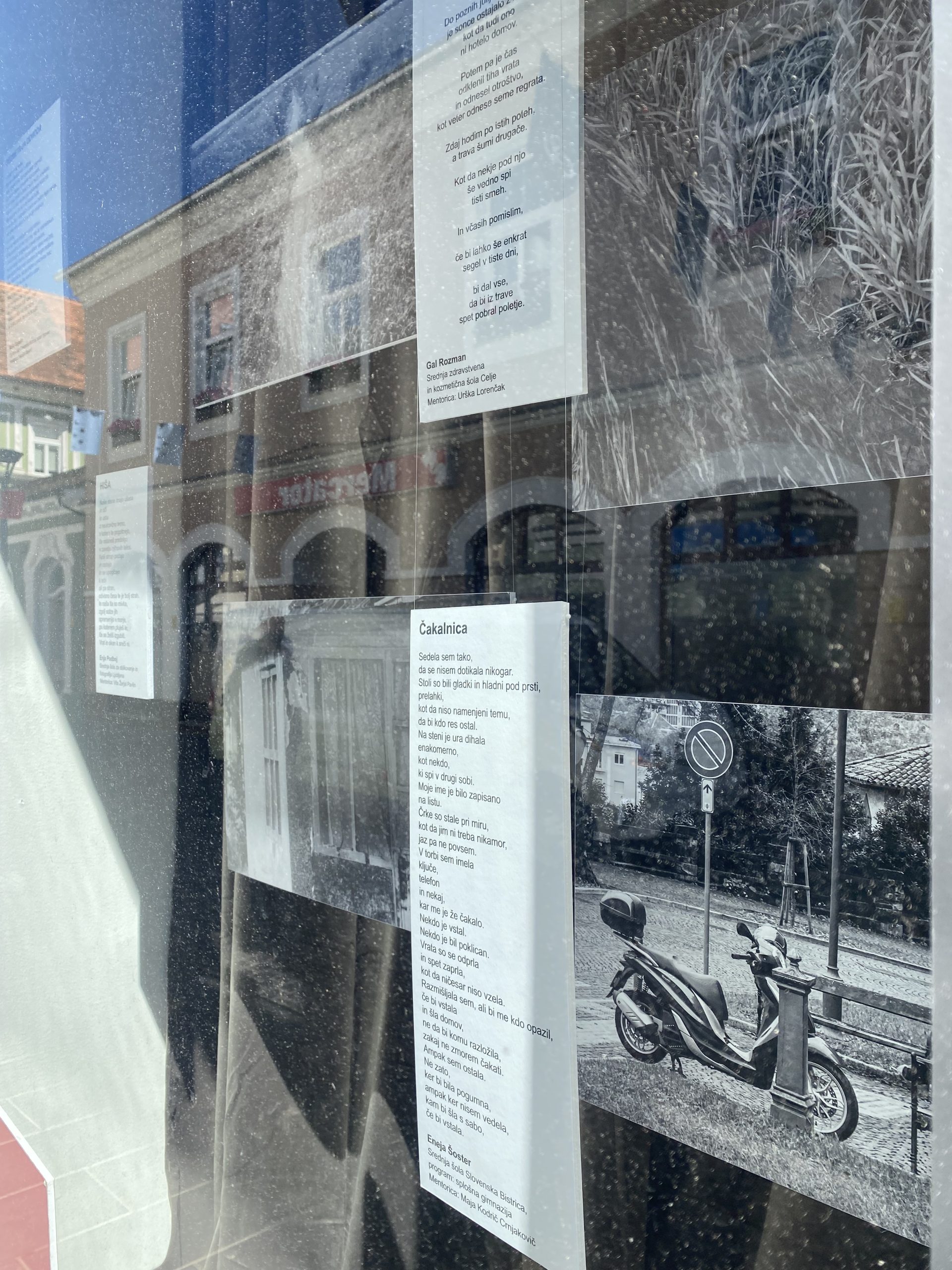 14 Fotografije Izložbe 10 Let Male Veronike Iva Bednar