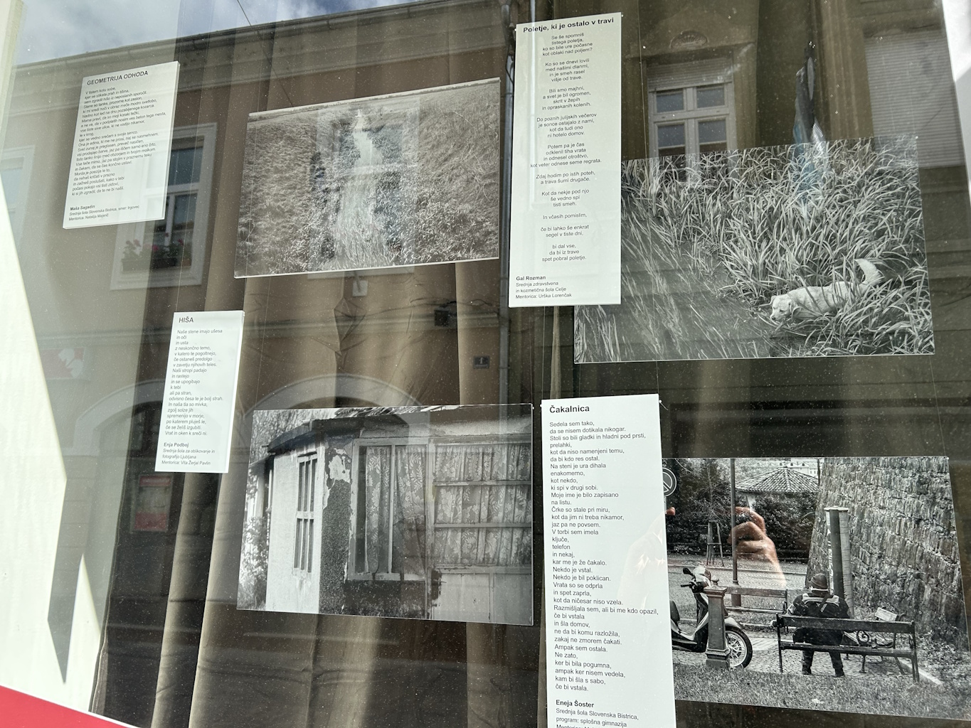 16 Fotografije Izložbe 10 Let Male Veronike Iva Bednar