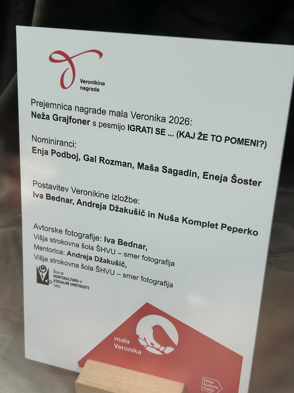 21 10 Fotografije Izložbe 10 Let Male Veronike Iva Bednar