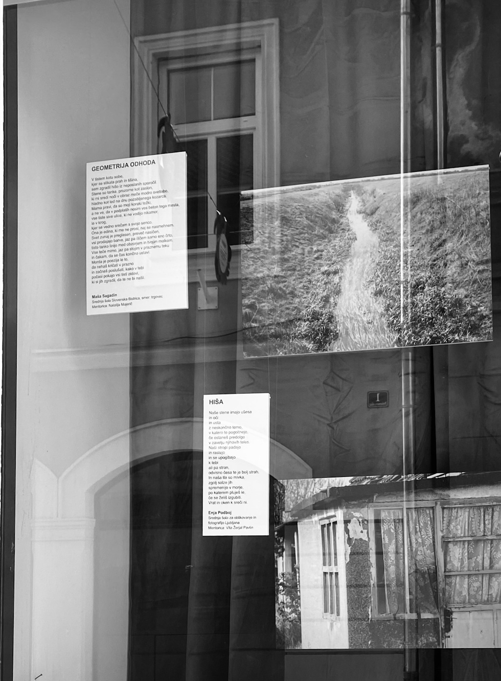 8 Fotografije Izložbe 10 Let Male Veronike Iva Bednar