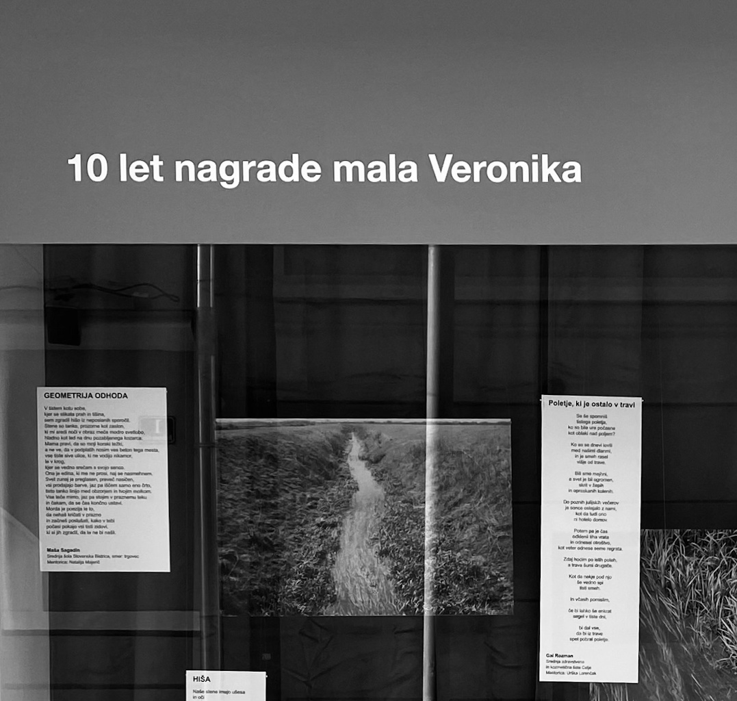 9 Fotografije Izložbe 10 Let Male Veronike Iva Bednar