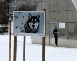 Razstava Fotografij Medlog 001 Copy