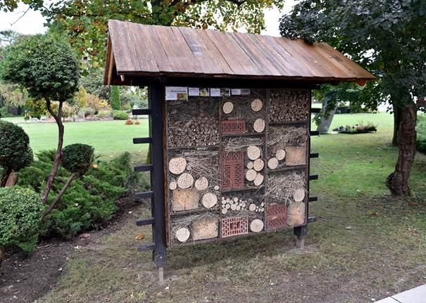 Hotel za žuželke -  Šola za hortikulturo in vizualne umetnosti Celje