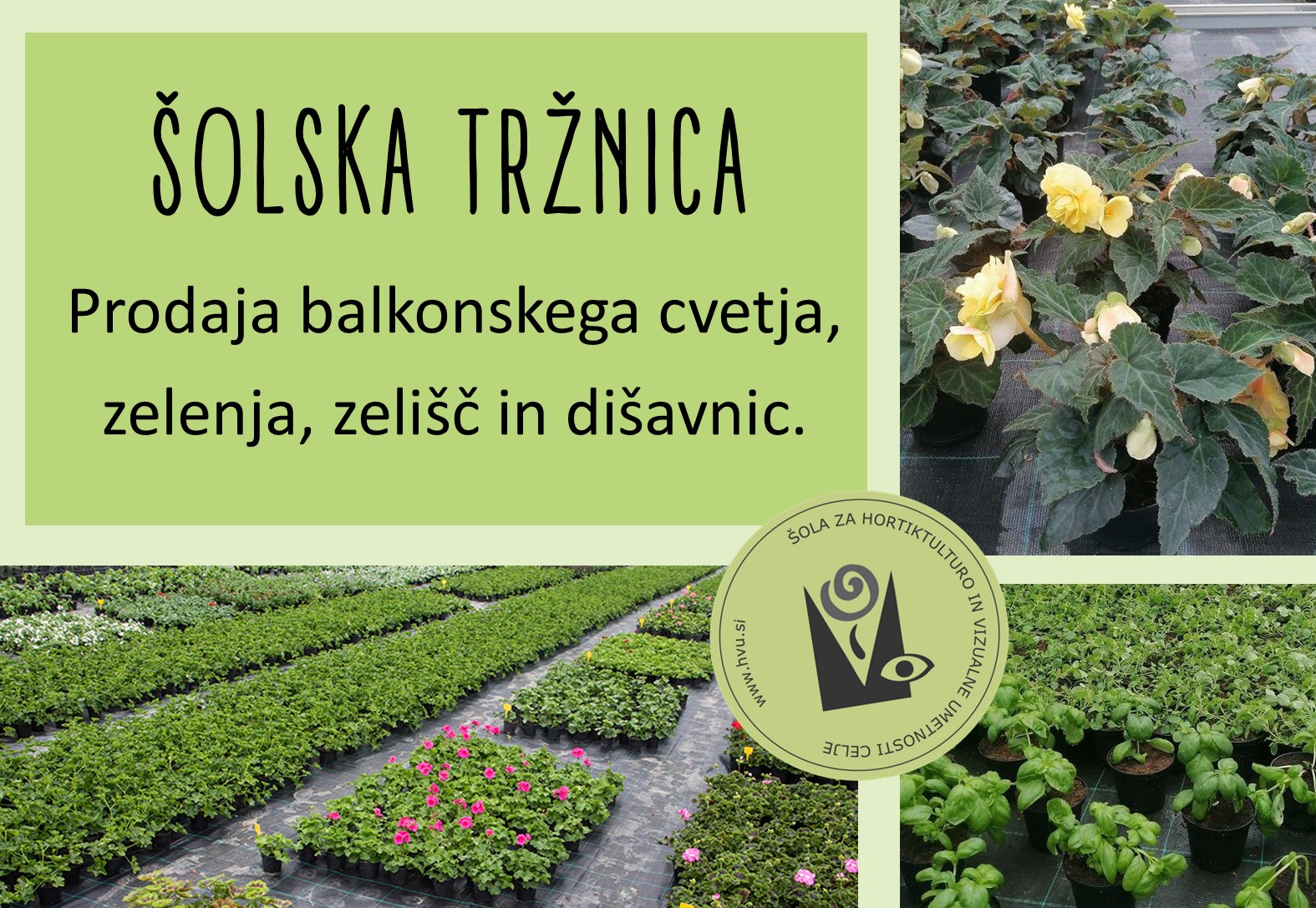 Prodaja balkonskega cvetja, sadik vrtnin, zelišč in dišavnic ter špargljev